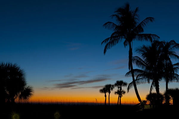 North America, USA, Florida, Sarasota, Sunset through the Palms on the Crescent Beach