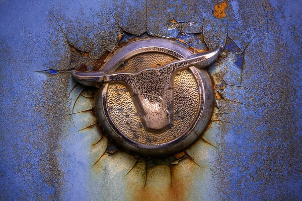 North America, USA, Georgia; Hood ornament on old rusted car at Old Car City