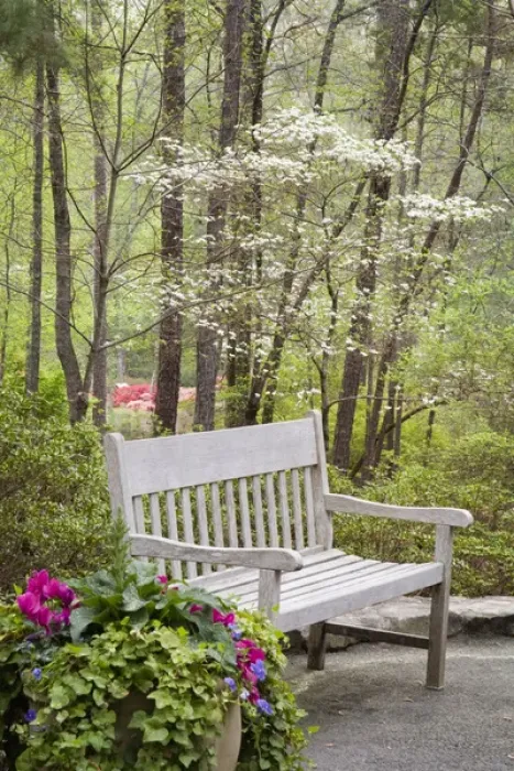 Framed Print : North America, USA, Georgia, Pine Mountain. Sitting bench in garden