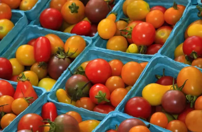 Framed Print : North America, USA, Georgia; Savannah; Cherry tomatoes at a farmers market