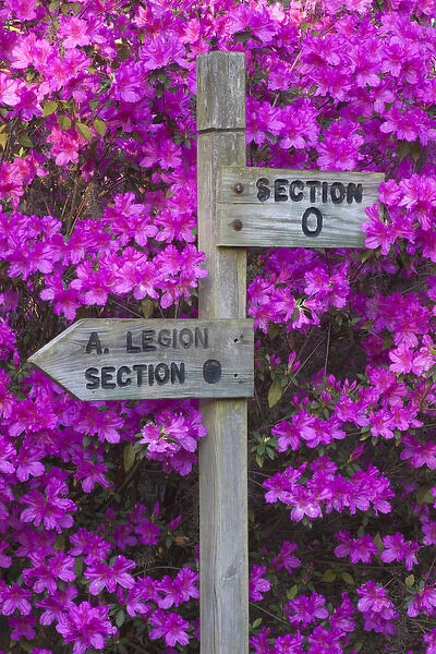 North America, USA, Georgia; Savannah; Direction markers and azaleas at Bonaventure