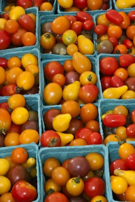 Framed Print : North America, USA, Georgia; Savannah; Organic cherry tomatoes at a farmer s Framed Print : North America, USA, Georgia; Savannah; Organic cherry tomatoes at a farmer s