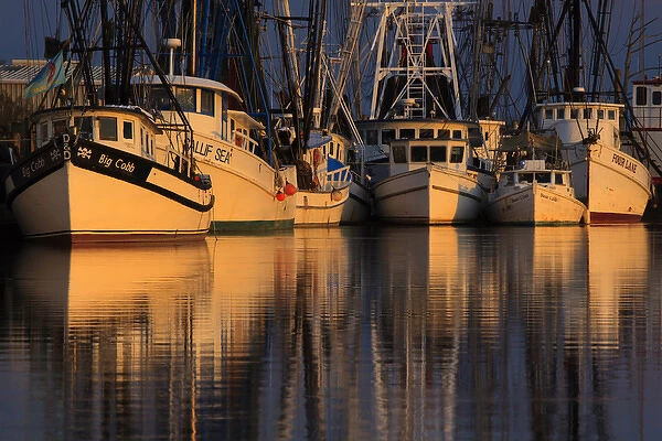 North America, USA, Georgia; Shrimp boats with refecltions at dock