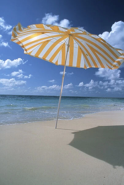 North America, USA, Hawaii. Beach umbrella