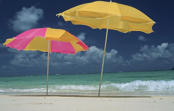 North America, USA, Hawaii. Beach umbrellas