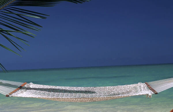 North America, USA, Hawaii. Empty hammock on tropical beach