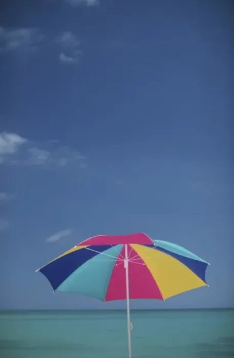 Framed Print : North America, USA, Hawaii. Umbrella
