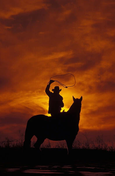 North America, USA, Idaho. Cowboy at sunset
