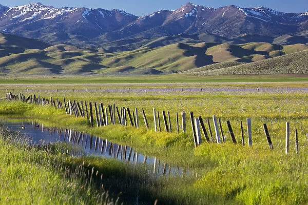 North America; USA; Idaho; Fairfield; Camas Prairie; Creek and fenceline in the Camas