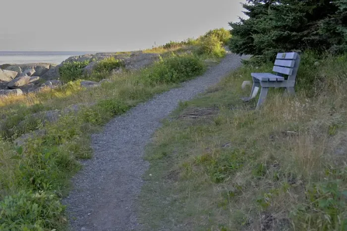 Framed Print : North America, USA, Maine, Lubec. A bench overlooking the ocean next to a path in