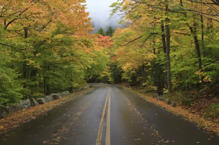 Framed Print : North America, USA, Maine. Road through Acadia National Park in the fall