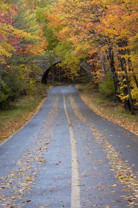 Framed Print : North America, USA, Maine. Road through Acadia National Park in the fall Framed Print : North America, USA, Maine. Road through Acadia National Park in the fall