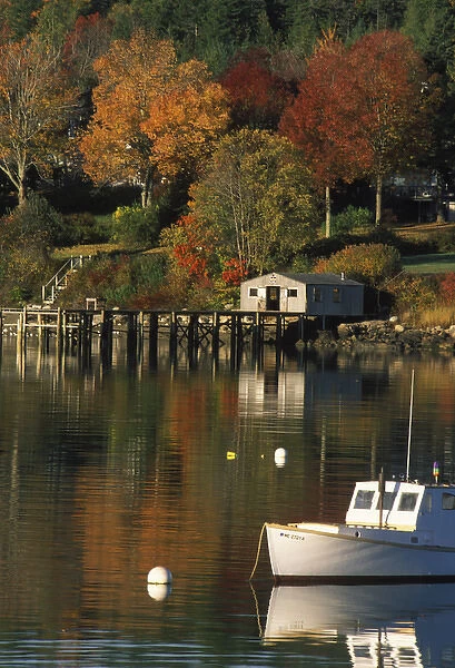 07. North America, U.S.A. Maine, Southwest Harbor, Boats and fall foliage