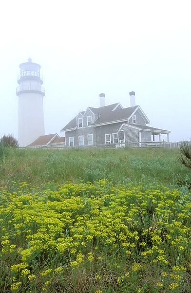North America, USA, Massachusettes, Cape Cod. Highland Beach lighthouse in morning fog