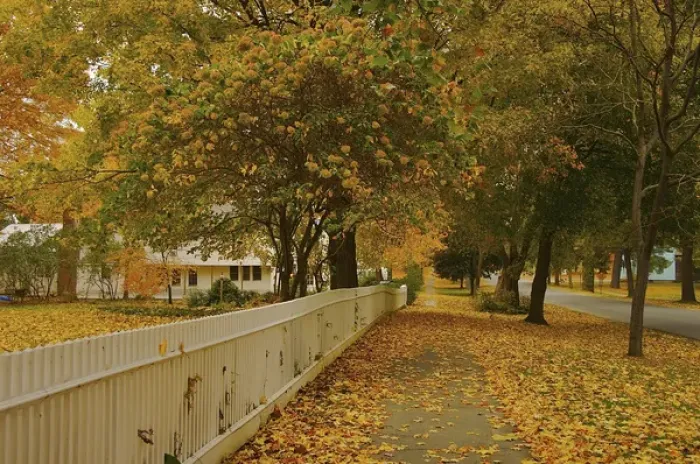 Framed Print : North America, USA, Massachusetts, Deerfield. A leaf-strewn sidewalk and white picket Framed Print : North America, USA, Massachusetts, Deerfield. A leaf-strewn sidewalk and white picket