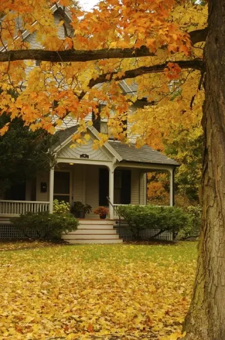 Framed Print : North America, USA, Massachusetts, Amherst. Autumn leaves framing the front porch of an old house Framed Print : North America, USA, Massachusetts, Amherst. Autumn leaves framing the front porch of an old house