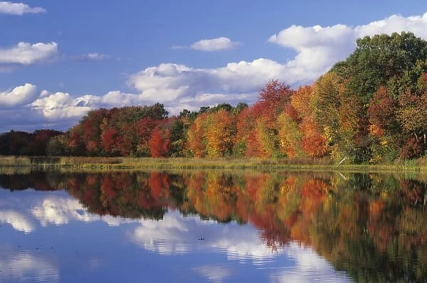 North America, USA, Massachusetts, Acton. Reflection of autumn foliage and clouds in pond