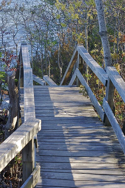 North America, USA, Massachusetts, Chatham. Wooden walkway leading to the ocean