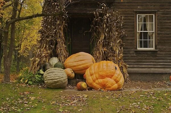 North America, USA, Massachusetts, Deerfield. Giant vegetables in front of an old house