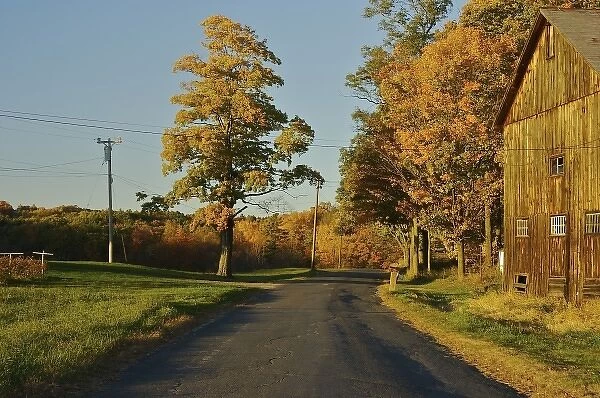North America, USA, Massachusetts, Shelburne. A road passes by an old barn and fall foliage