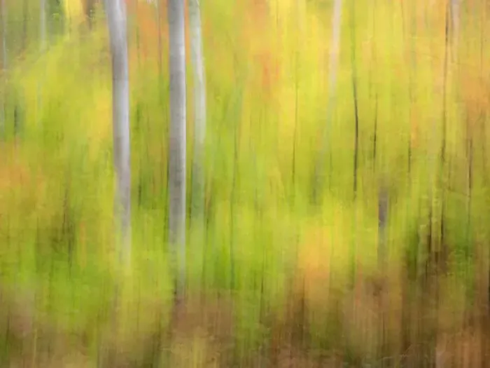 Framed Print : North America, USA, Michigan, Upper Peninsula. A panned motion blur of autumn woodland