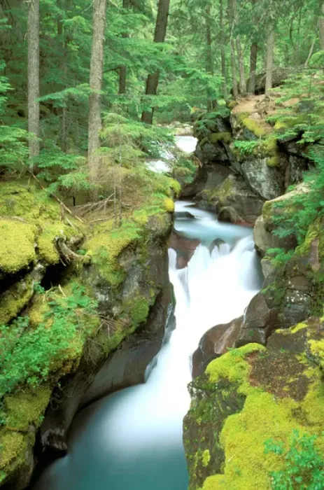 Framed Print : North America, USA, Montana, Glacier National Park. Avalanche Creek in Avalanche Gorge Framed Print : North America, USA, Montana, Glacier National Park. Avalanche Creek in Avalanche Gorge
