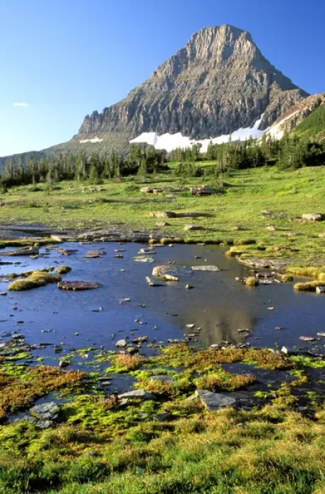 Framed Print : North America, USA, Montana, Glacier National Park. Reynolds Mountain reflected in Framed Print : North America, USA, Montana, Glacier National Park. Reynolds Mountain reflected in