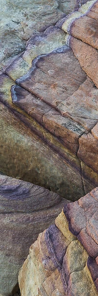 North America, USA, Nevada. Colorful abstract lines in sandstone rocks at Valley