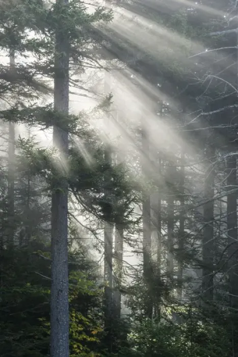 Framed Print : North America, USA, New England, White Mountains National Forest