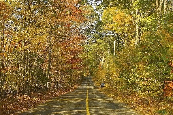 North America, USA, New England. A rural road in New England under a canopy of fall foliage
