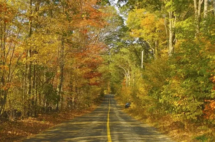 Framed Print : North America, USA, New England. A rural road in New England under a canopy of fall foliage Framed Print : North America, USA, New England. A rural road in New England under a canopy of fall foliage