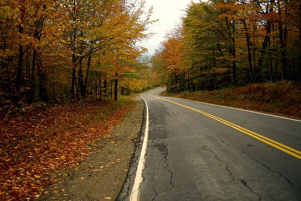 North America, USA, New Hampshire. Curving road through foliage near the White Mountains