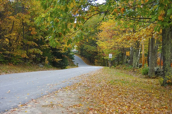 North America, USA, New Hampshire. A winding rural road surrounded by fall foliage