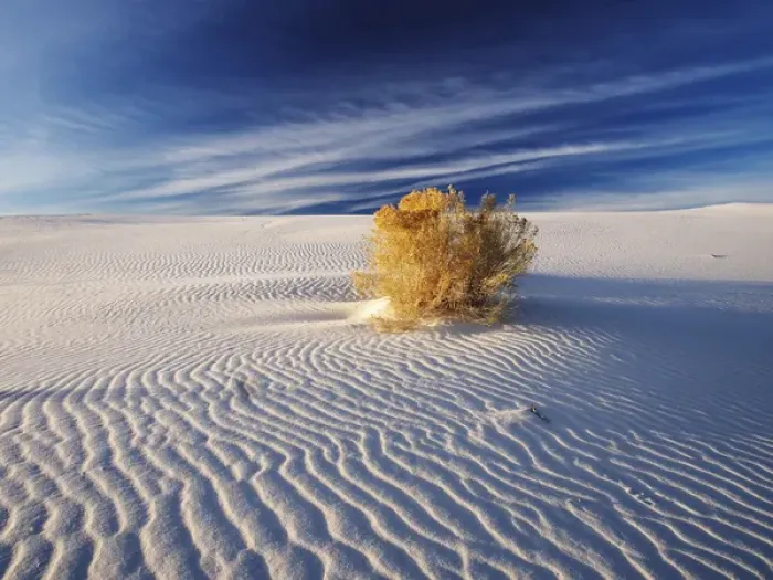 Framed Print : North America; USA; New Mexico, White Sands National Monument; Sand Dune Patterns