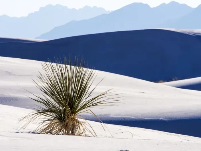 Framed Print : North America; USA; New Mexico, White Sands National Monument; Sand Dune Patterns Framed Print : North America; USA; New Mexico, White Sands National Monument; Sand Dune Patterns