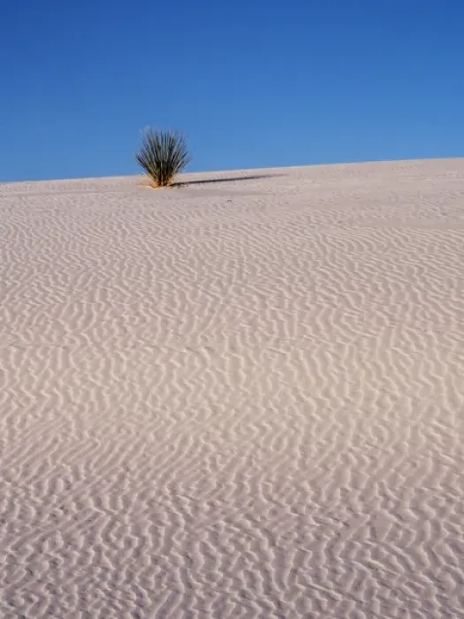 Framed Print : North America; USA; New Mexico, White Sands National Monument; Sand Dune Patterns Framed Print : North America; USA; New Mexico, White Sands National Monument; Sand Dune Patterns
