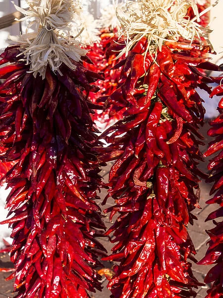 North America; USA; New Mexico; Sant Fe; Red Chili peppers on string. Santa Fe