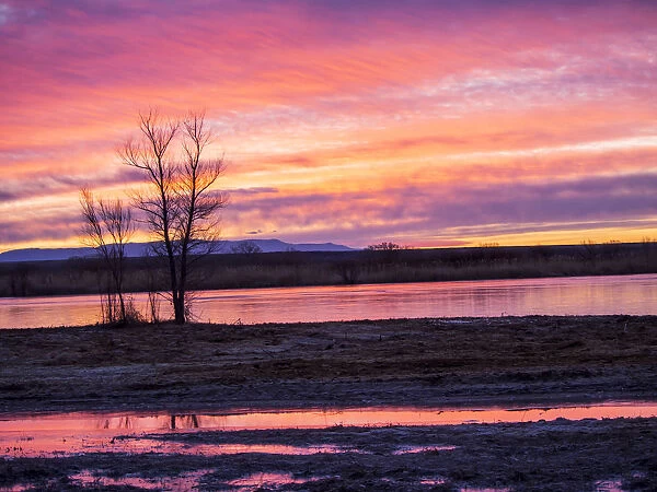 North America; Usa; New Mexico; Sunrise at Bosque del Apache National Wildlife Refuge