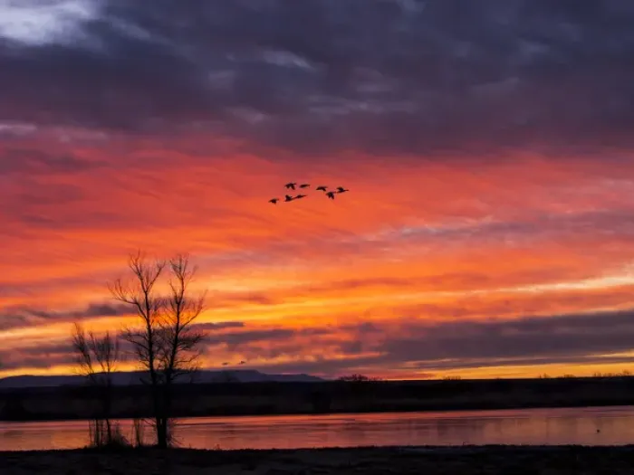 Framed Print : North America; Usa; New Mexico; Sunrise at Bosque del Apache National Wildlife Refuge Framed Print : North America; Usa; New Mexico; Sunrise at Bosque del Apache National Wildlife Refuge