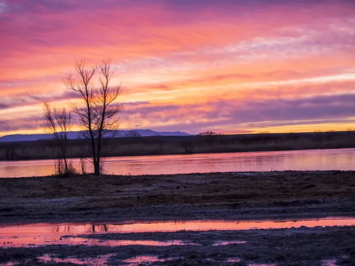 Framed Print : North America; Usa; New Mexico; Sunrise at Bosque del Apache National Wildlife Refuge Framed Print : North America; Usa; New Mexico; Sunrise at Bosque del Apache National Wildlife Refuge