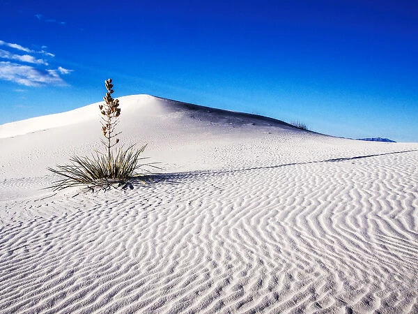 North America; USA; New Mexico, White Sands National Monument; Sand Dune Patterns