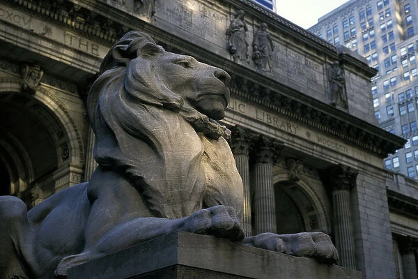 North America, USA, New York, New York City. Stone Lion in front of the Public Library