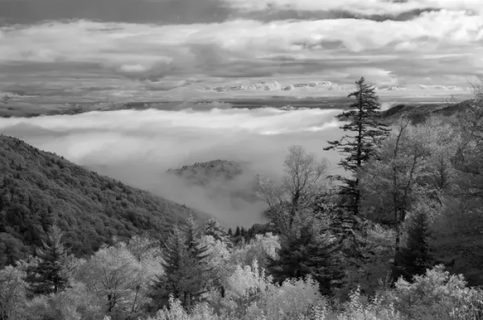 Framed Print : North America, USA, North Carolina, infrared image clouds, mountains and trees Framed Print : North America, USA, North Carolina, infrared image clouds, mountains and trees