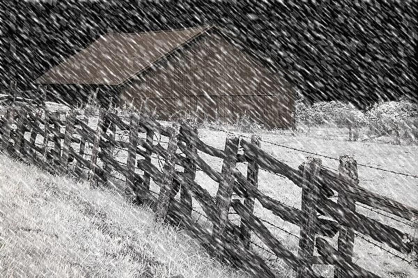 North America, USA, North Carolina, Blue Ridge Parkway, infrared digitally altered image of barn