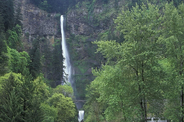 North America, USA, OR, Columbia River Gorge Multnomah Falls main portion plunges