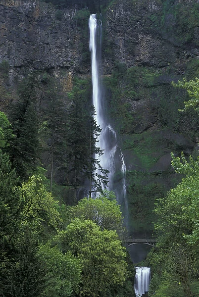 North America, USA, OR, Columbia River Gorge Multnomah Falls main portion plunges