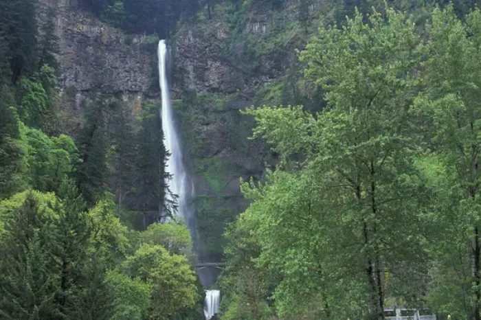 Framed Print : North America, USA, OR, Columbia River Gorge Multnomah Falls main portion plunges Framed Print : North America, USA, OR, Columbia River Gorge Multnomah Falls main portion plunges