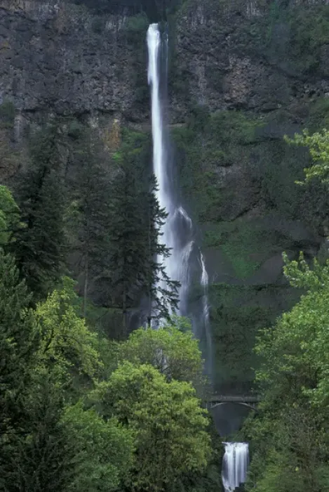 Framed Print : North America, USA, OR, Columbia River Gorge Multnomah Falls main portion plunges