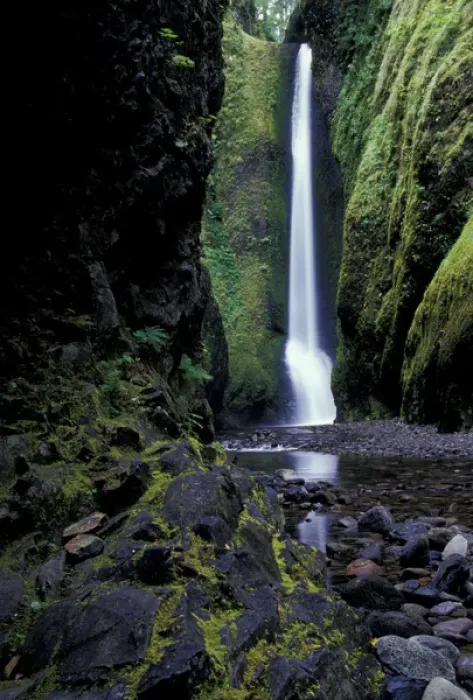 Framed Print : North America, USA, OR, Columbia River Gorge National Scenic Area, Oneonta Falls