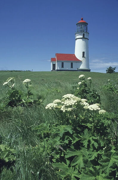 North America, USA, Oregon Cape Blanco Lighthouse along the Oregon coastline